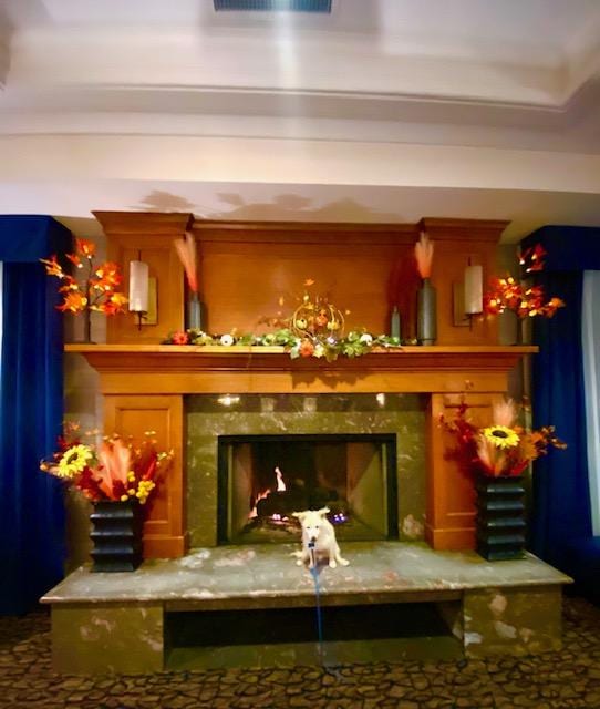 Very cozy lobby and well decorated.