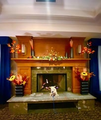 Very cozy lobby and well decorated.