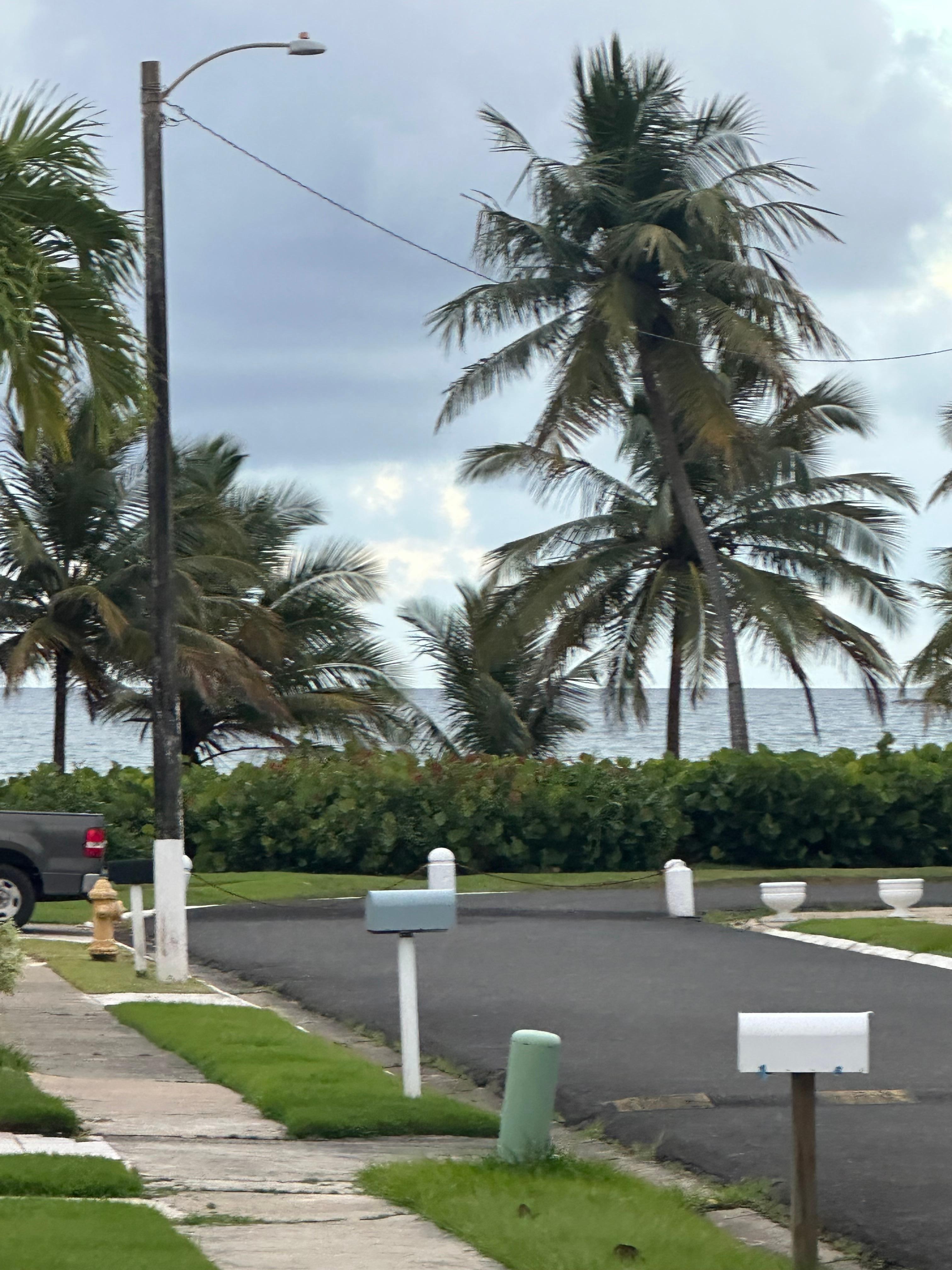 Day view from porch