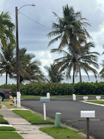 Day view from porch