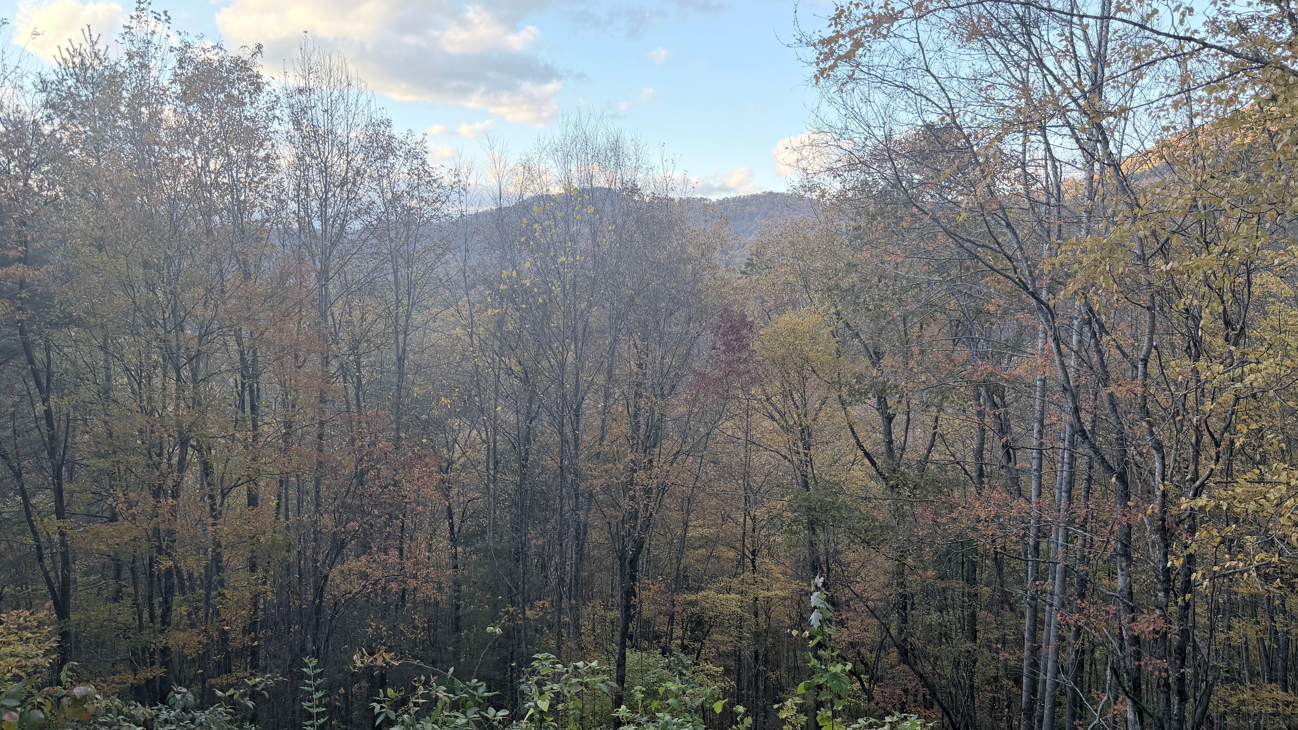 Views from the porch. 