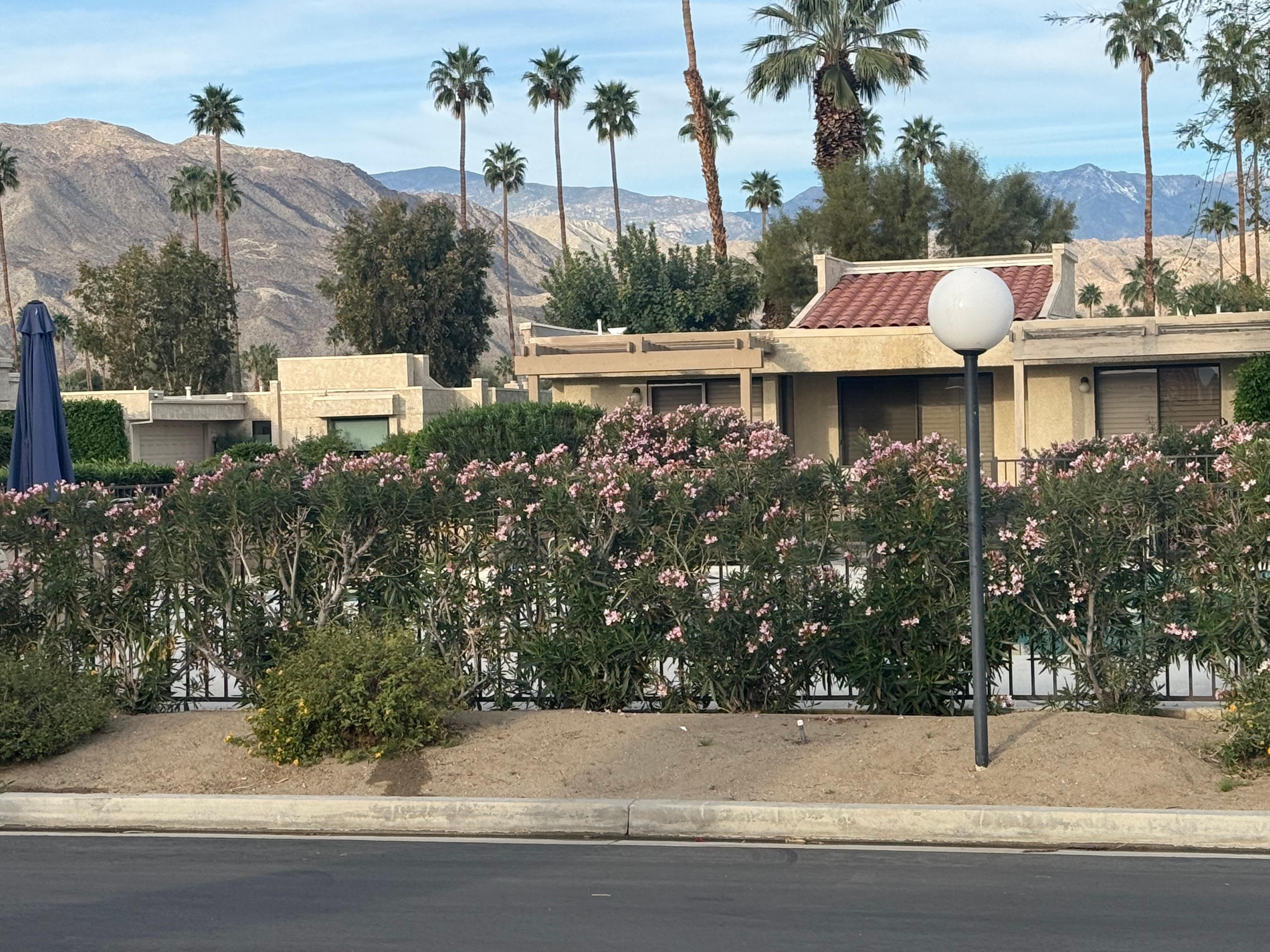 View of pool from driveway- just across street