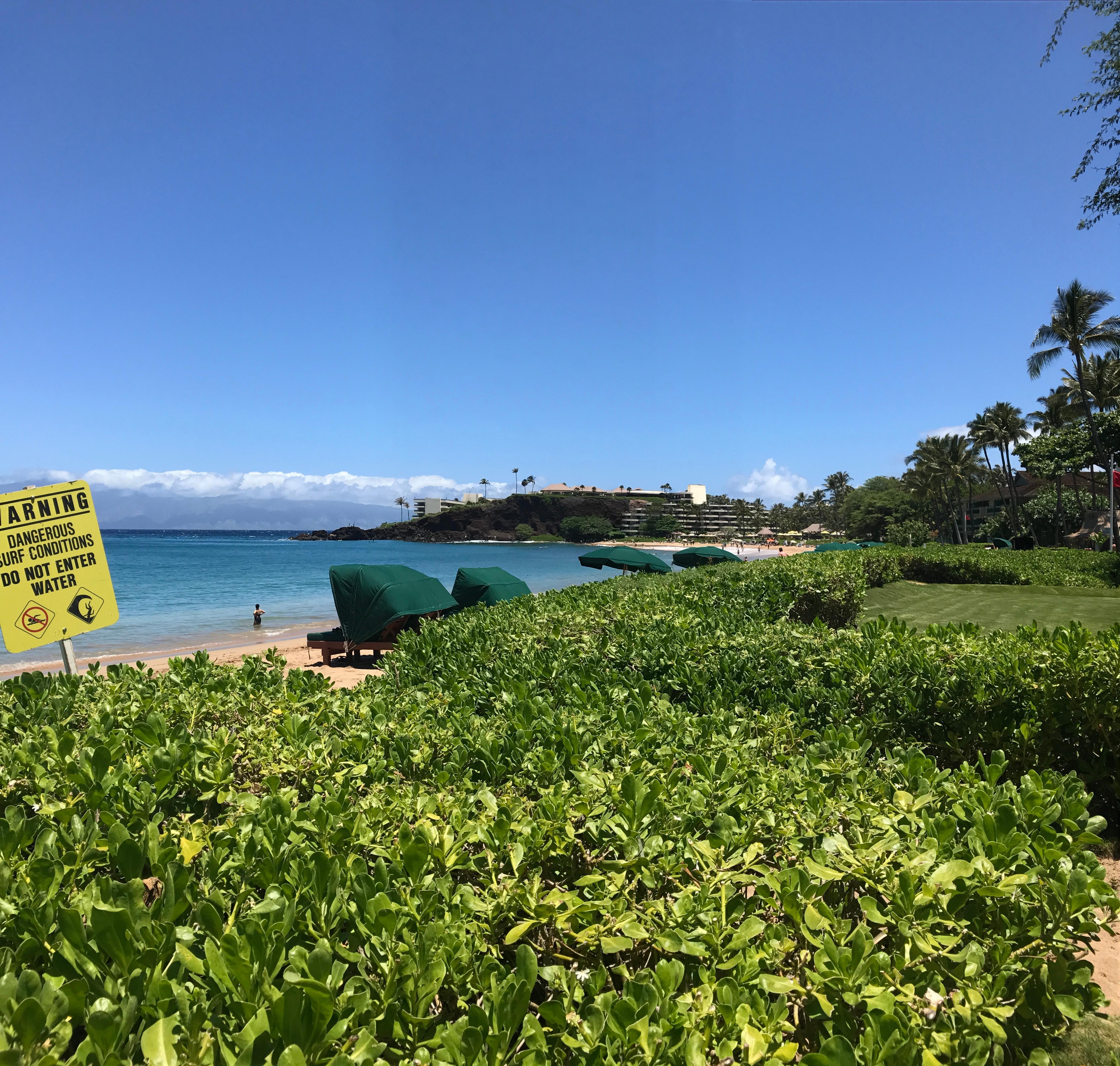 Luau grounds