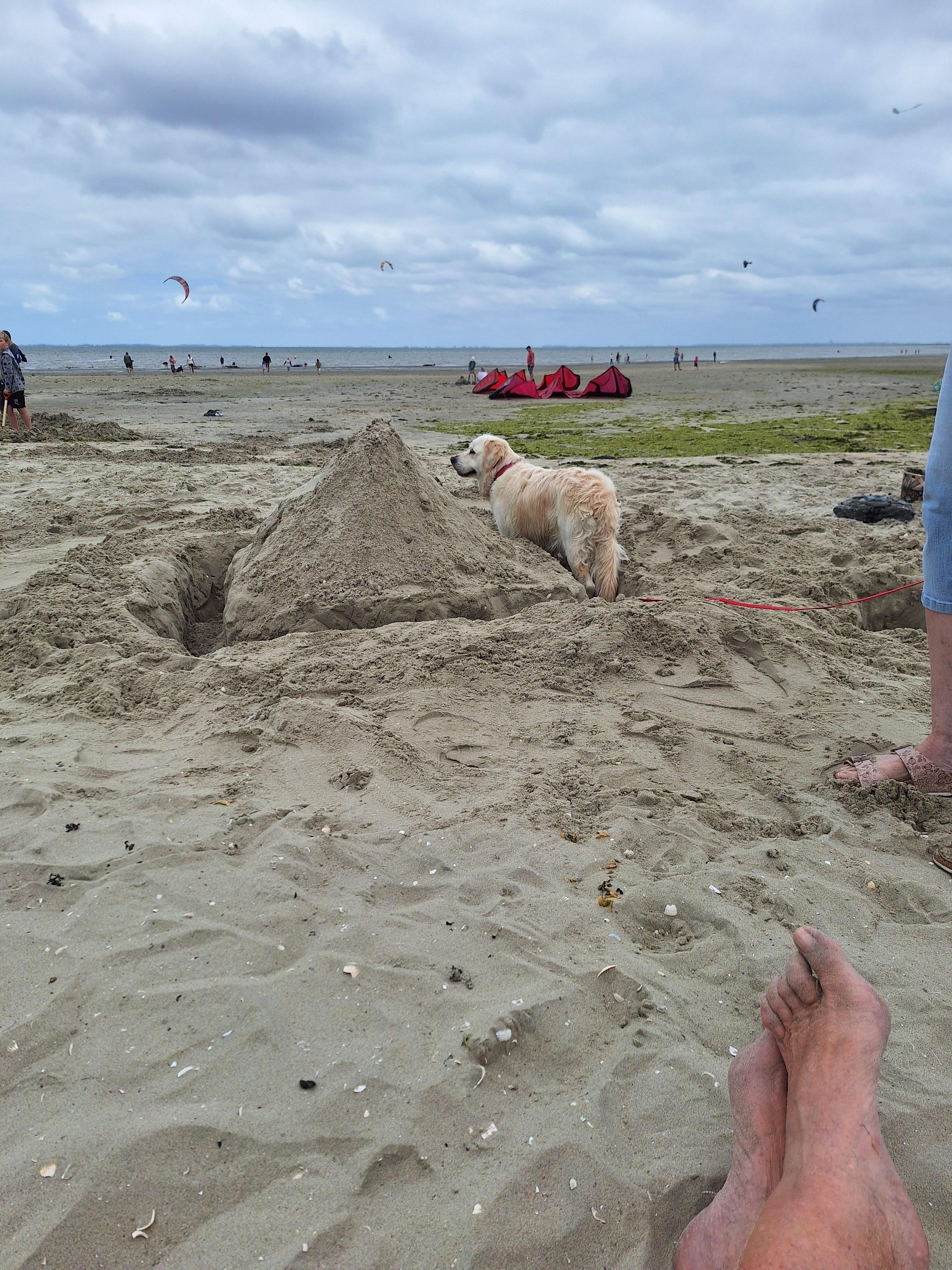 Jetzt habe ich meine eigene Burg