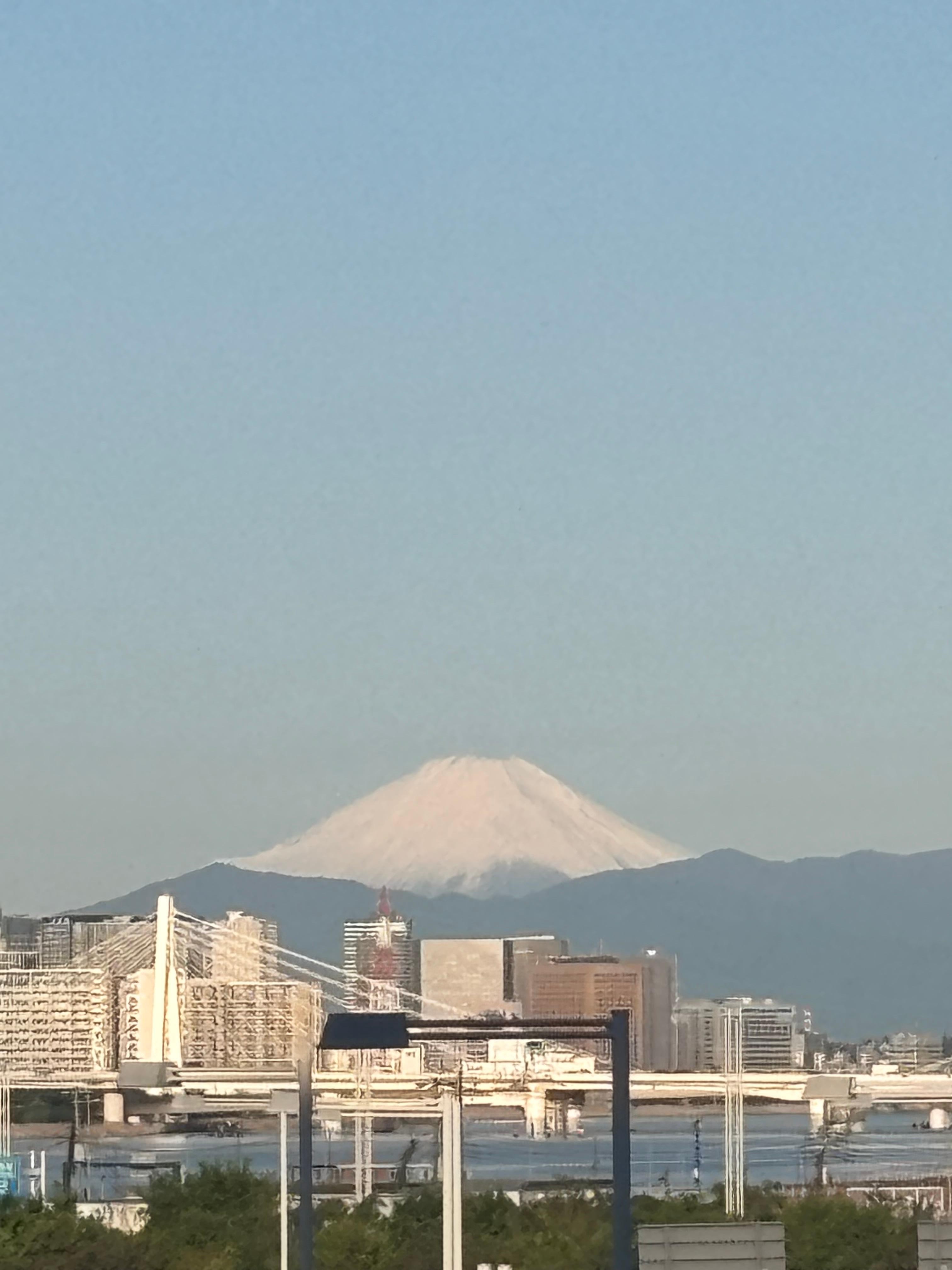 room
view
