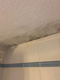 If you have asthma or a weak immune system would you stay in this room with bathroom mould on the ceiling?