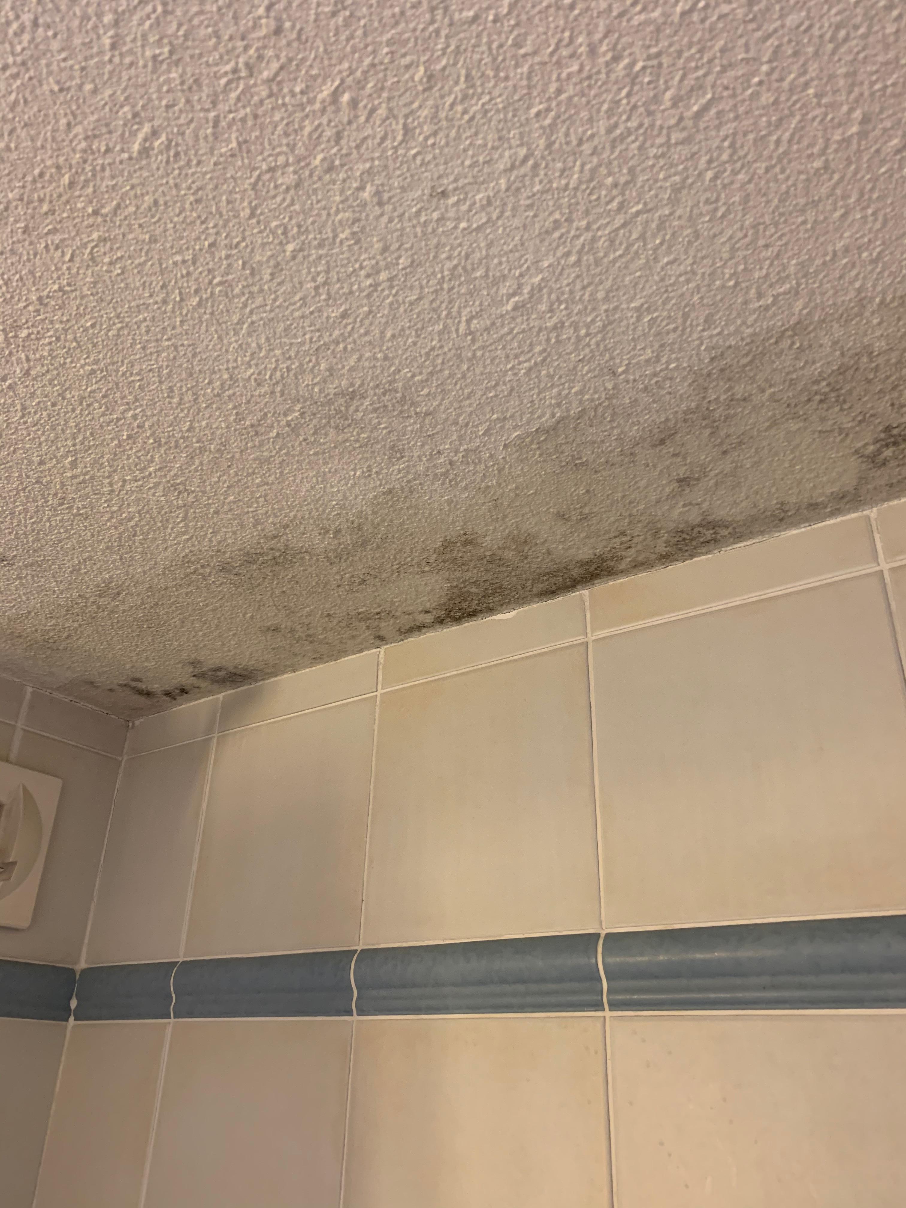 If you have asthma or a weak immune system would you stay in this room with bathroom mould on the ceiling?