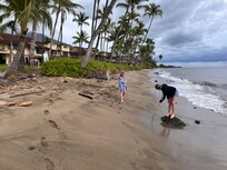 Beach RIGHT IN FRONT of the unit