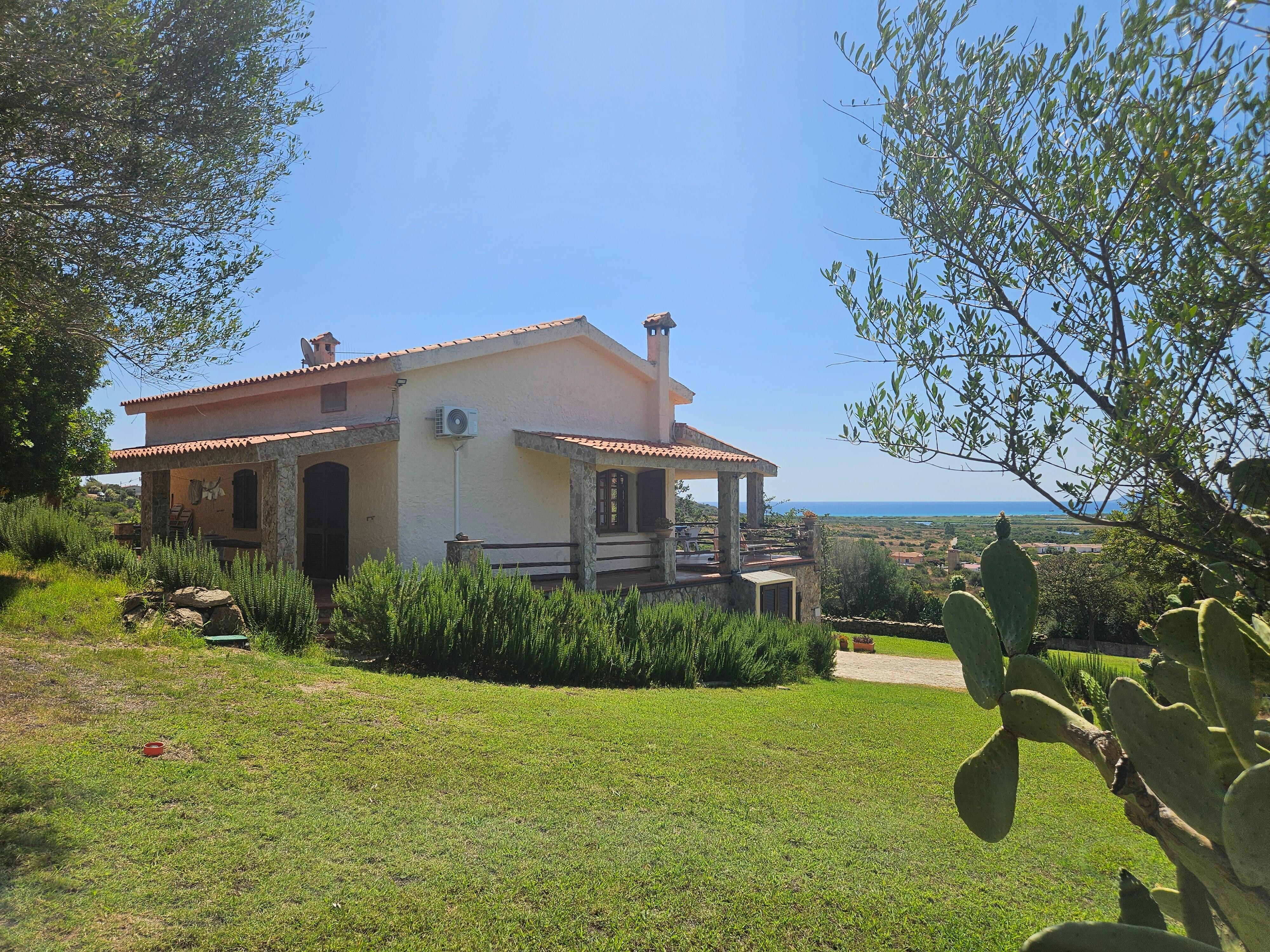 House and garden