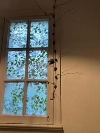 Several rooms have vines growing through windows