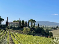 Blick aufs Anwesen vom Weg