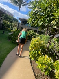 The back side of condo, just a short walk to beach
