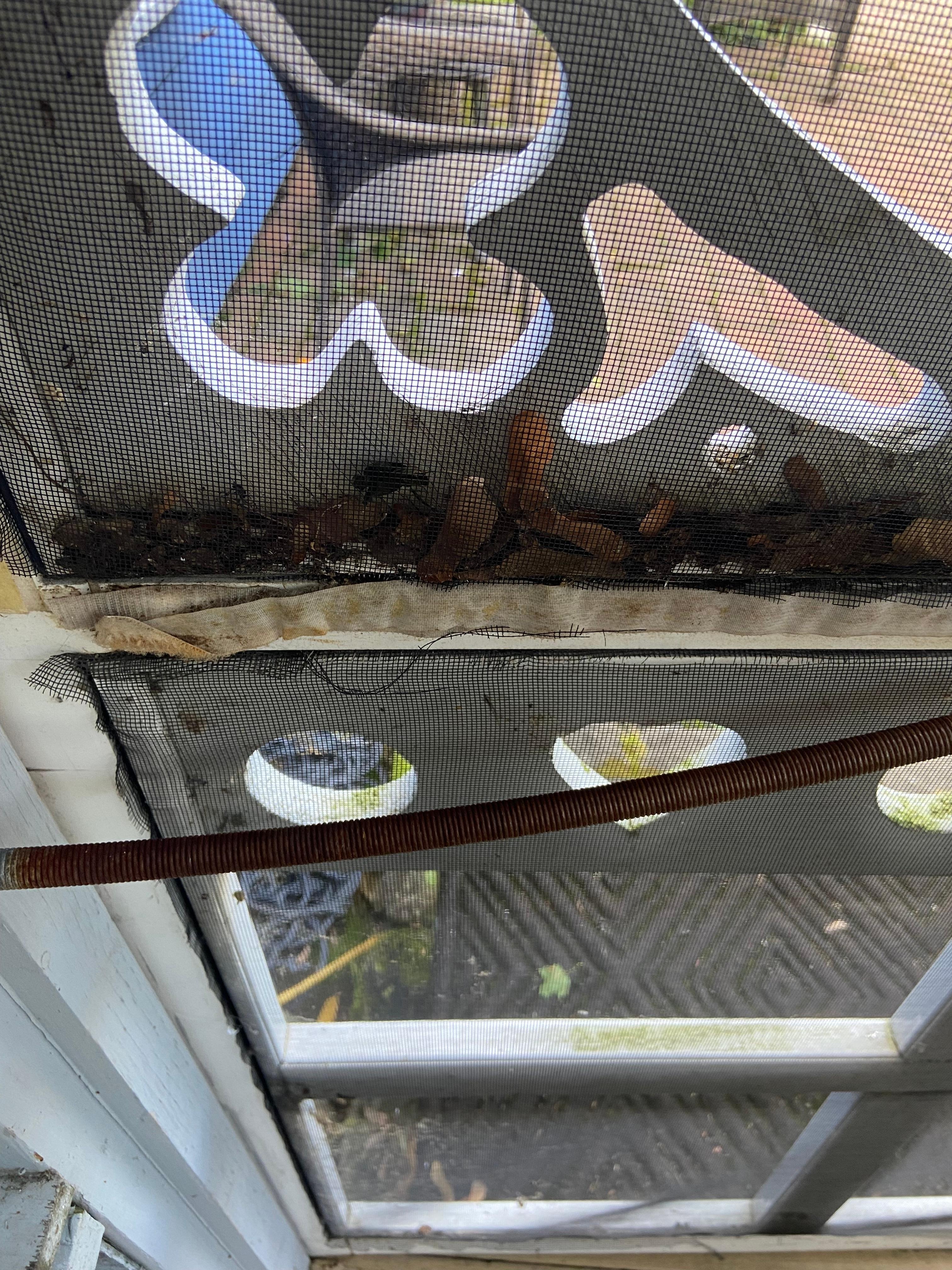 Torn and dirty screens