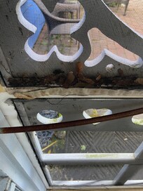 Torn and dirty screens