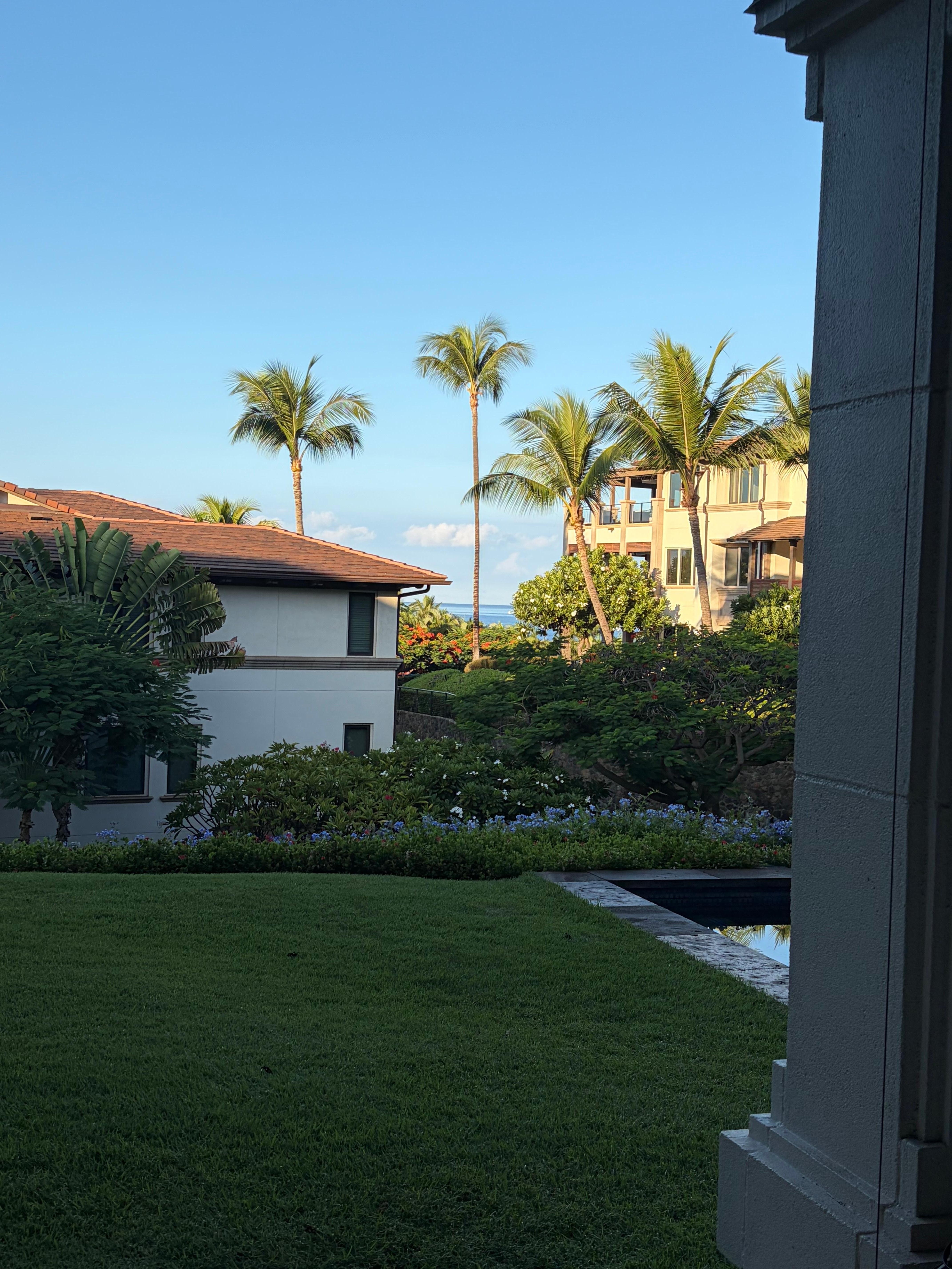 View from Lanai