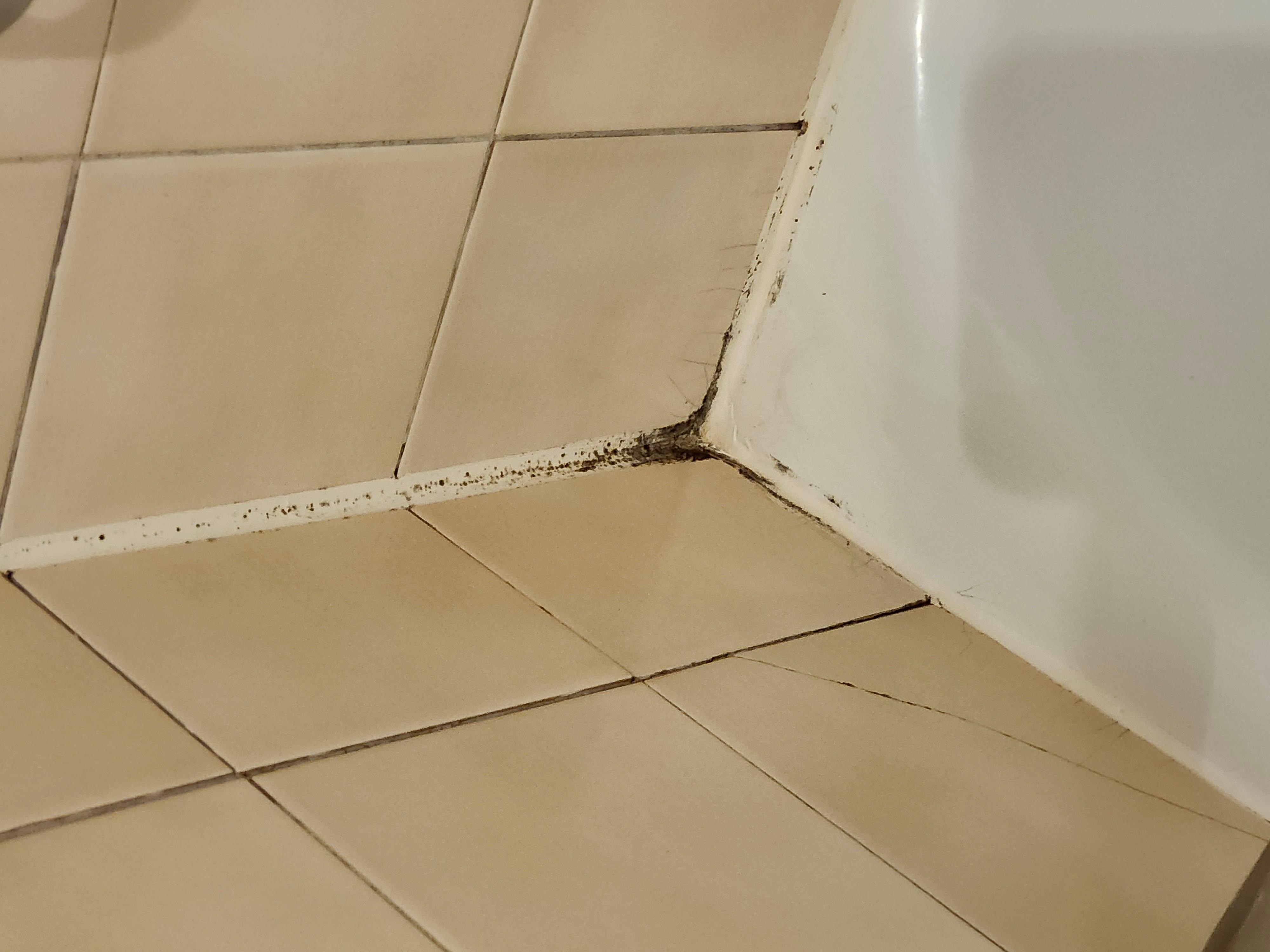 Mold in bath tub