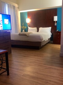 The last time we stayed, the sofa pulled out but this time it was just more of a wide sofa.