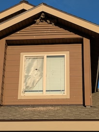 View of the ripped out screen, swallow nest, and abundant bird poop that has collected.