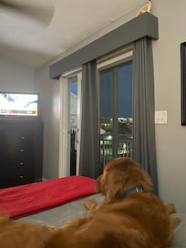 The view outside from the top floor.