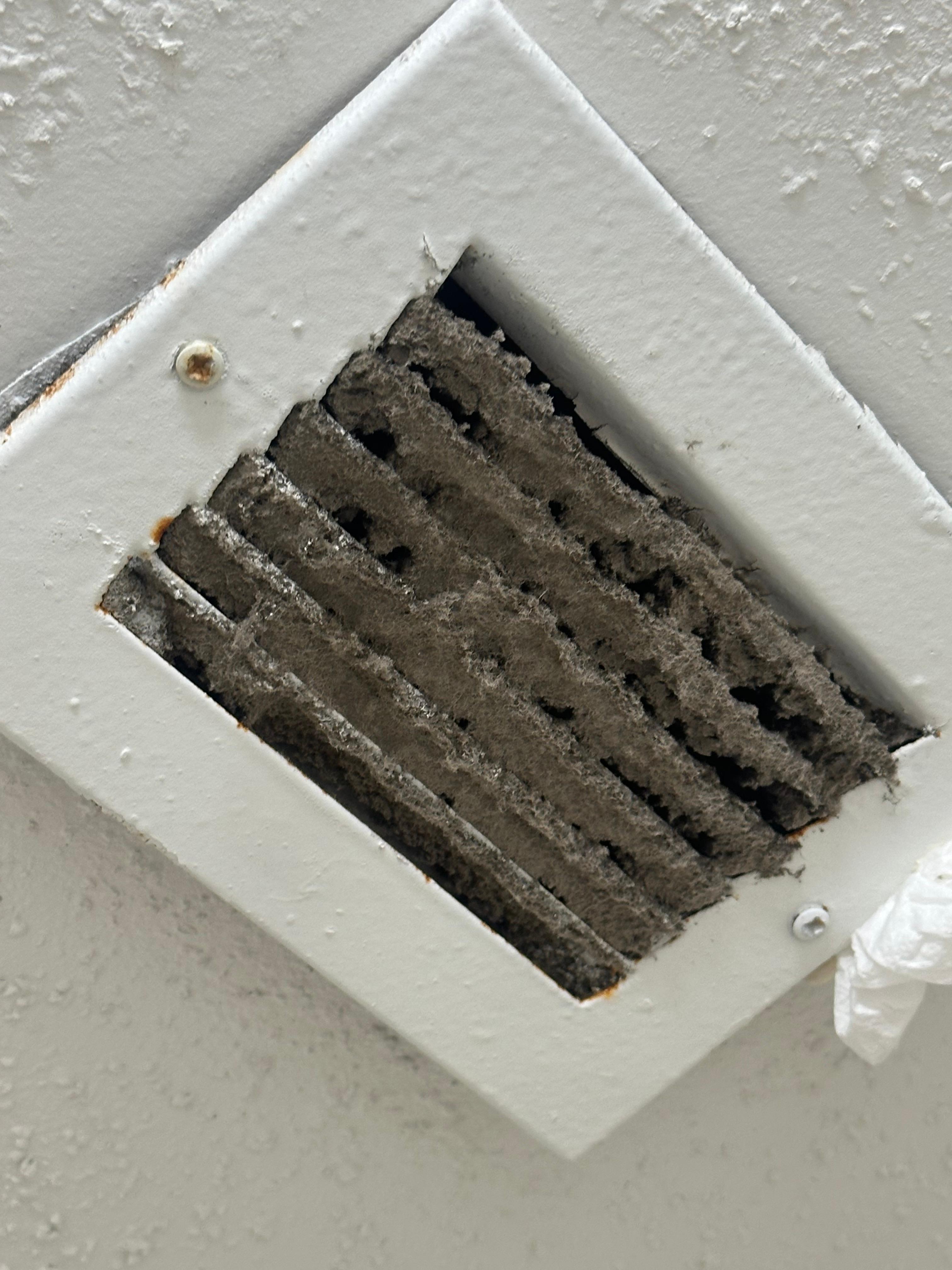 Filthy air duct