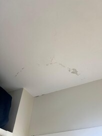 Wasser/Schimmelfleck an der Decke