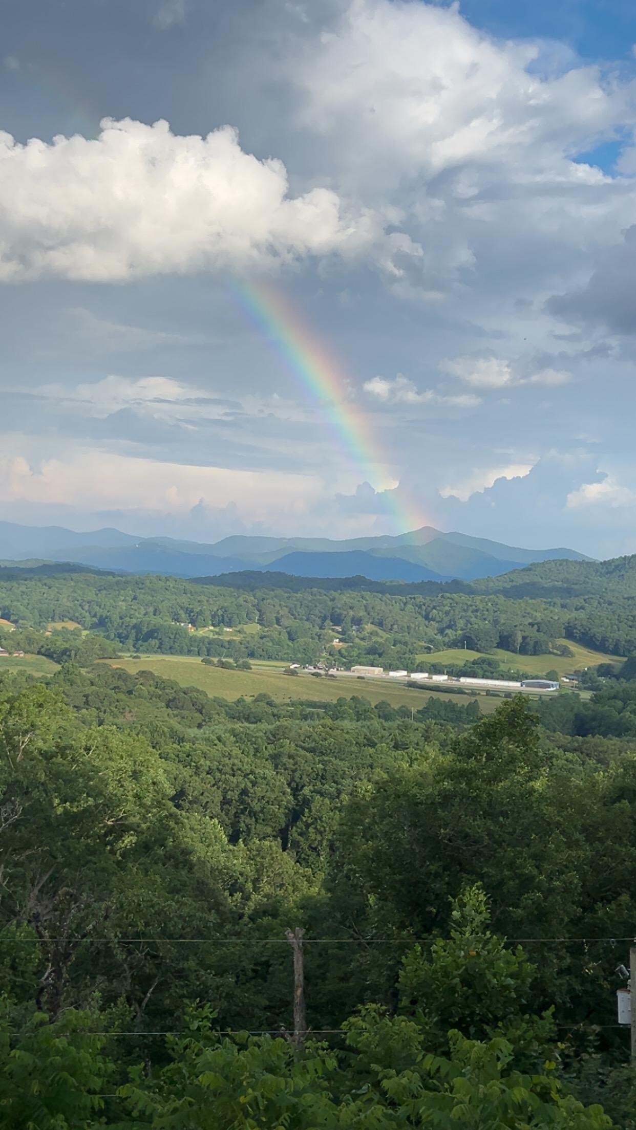 After a rainstorm 