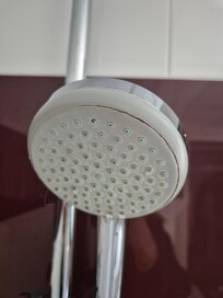Duschkopf verschimmelt