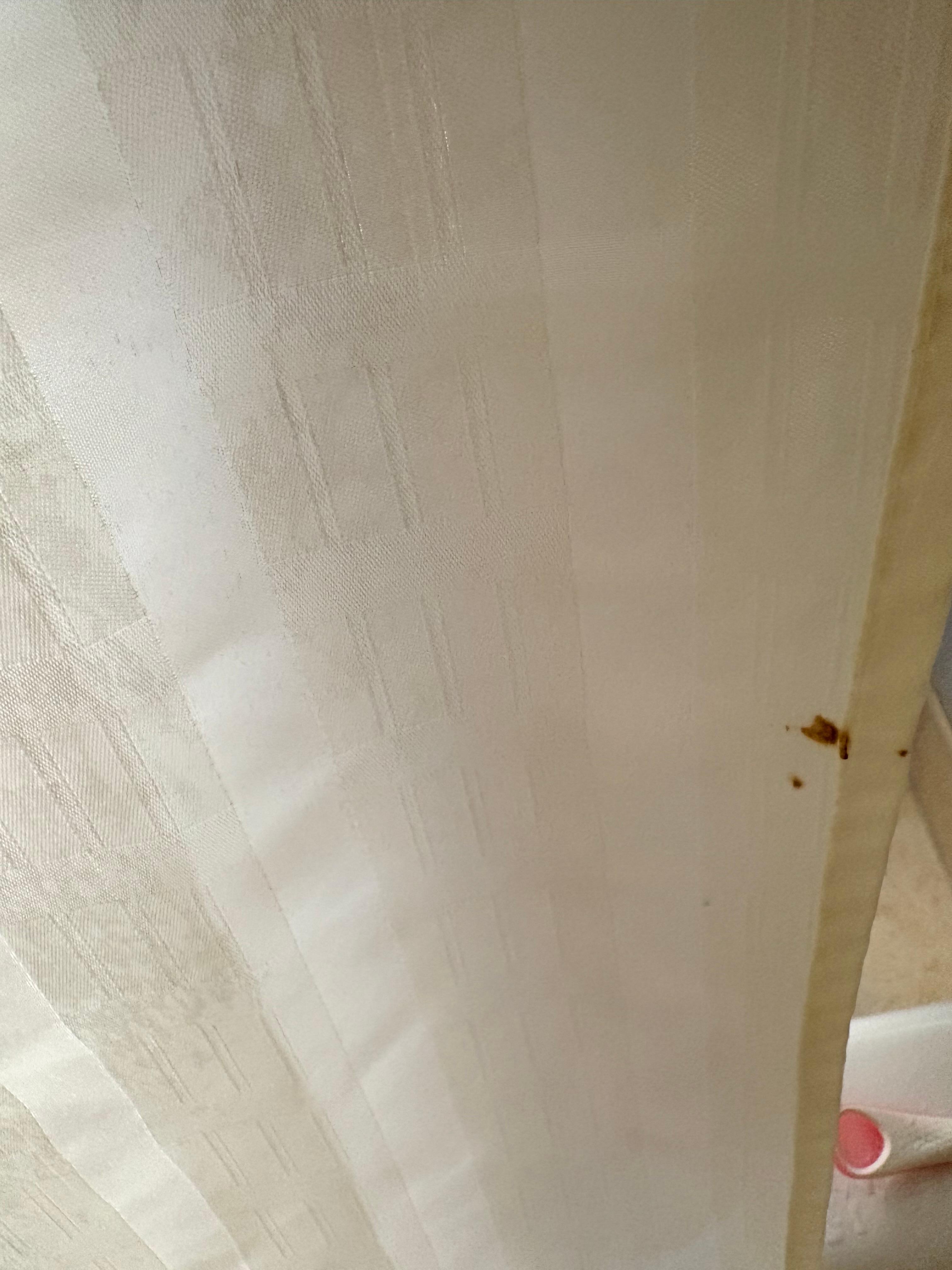 Stain on shower curtain 