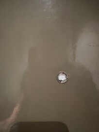 Tissue shoved into door peephole?