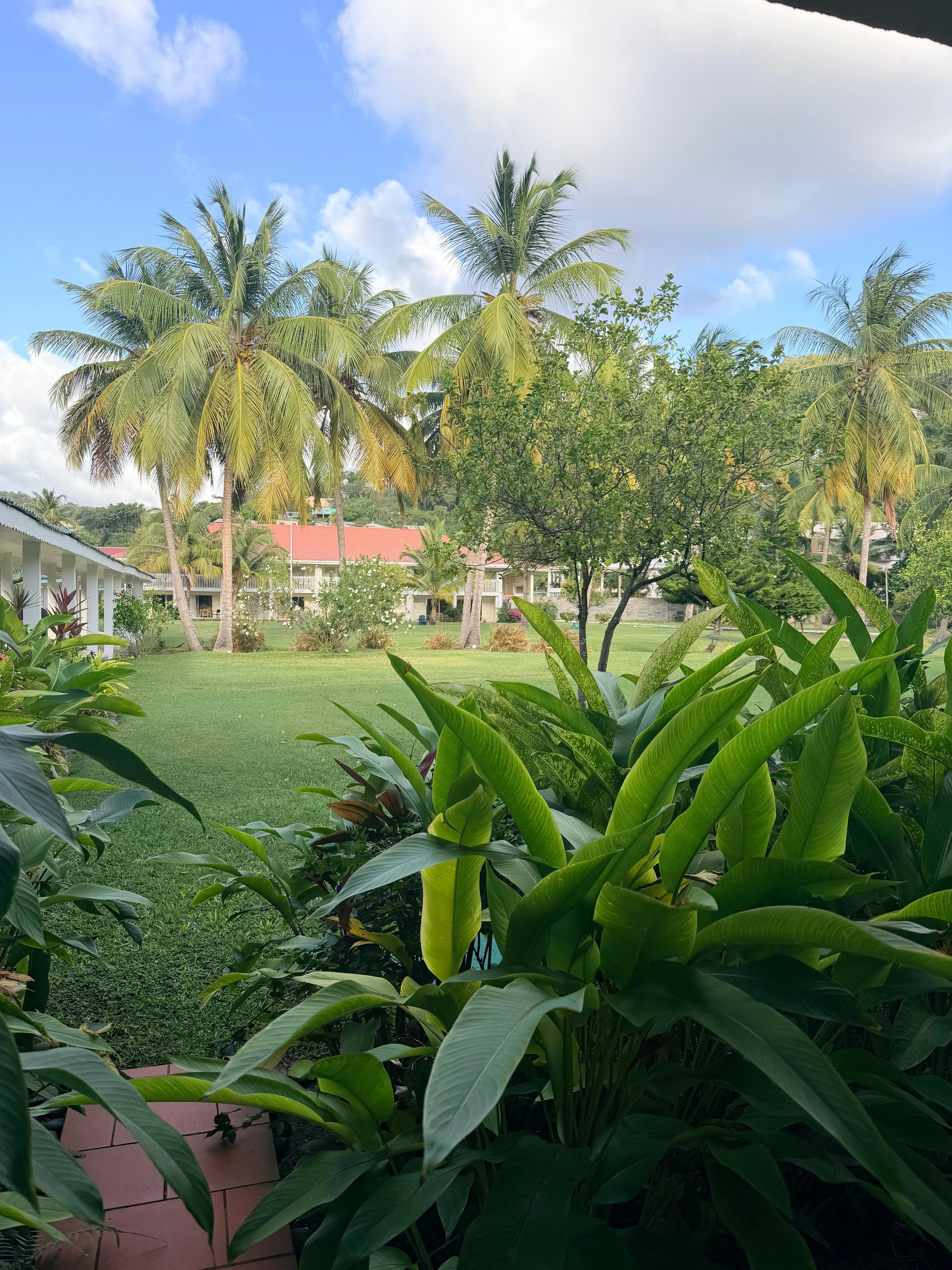 View from a Garden view room