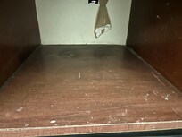 This is under the sink. I was checking for bugs and saw this.