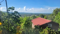The view.