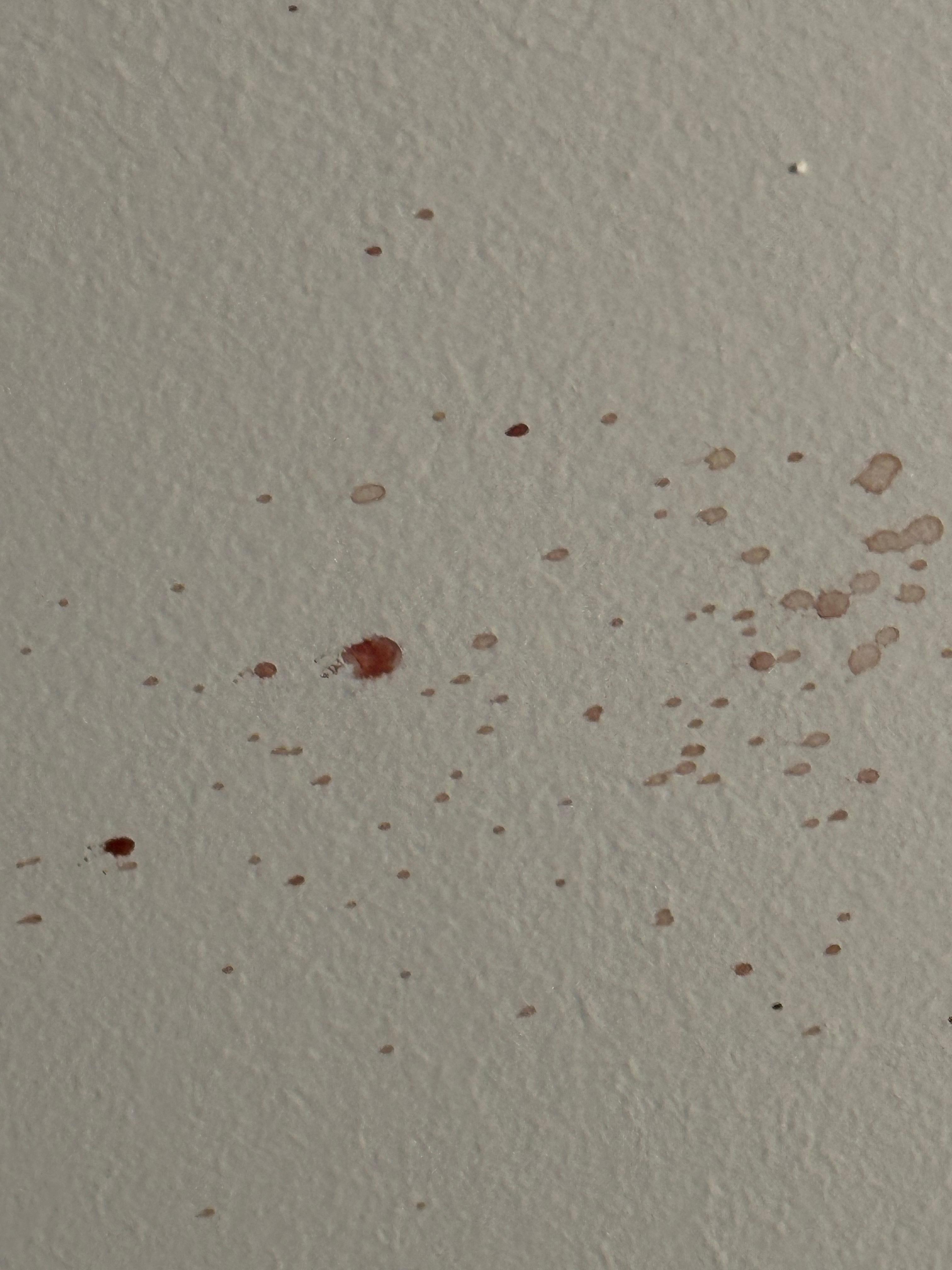 Blood spattered ceiling