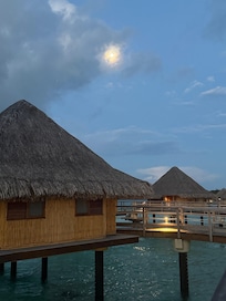 Peaceful rooms