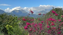 View from the deck of the lodge.