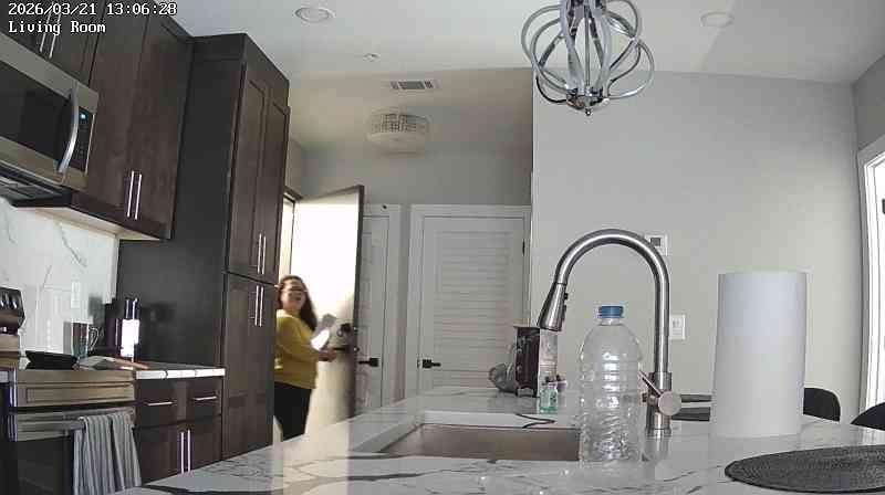 Host entering the apartment while we were out for the day.  She said she left the house rules.