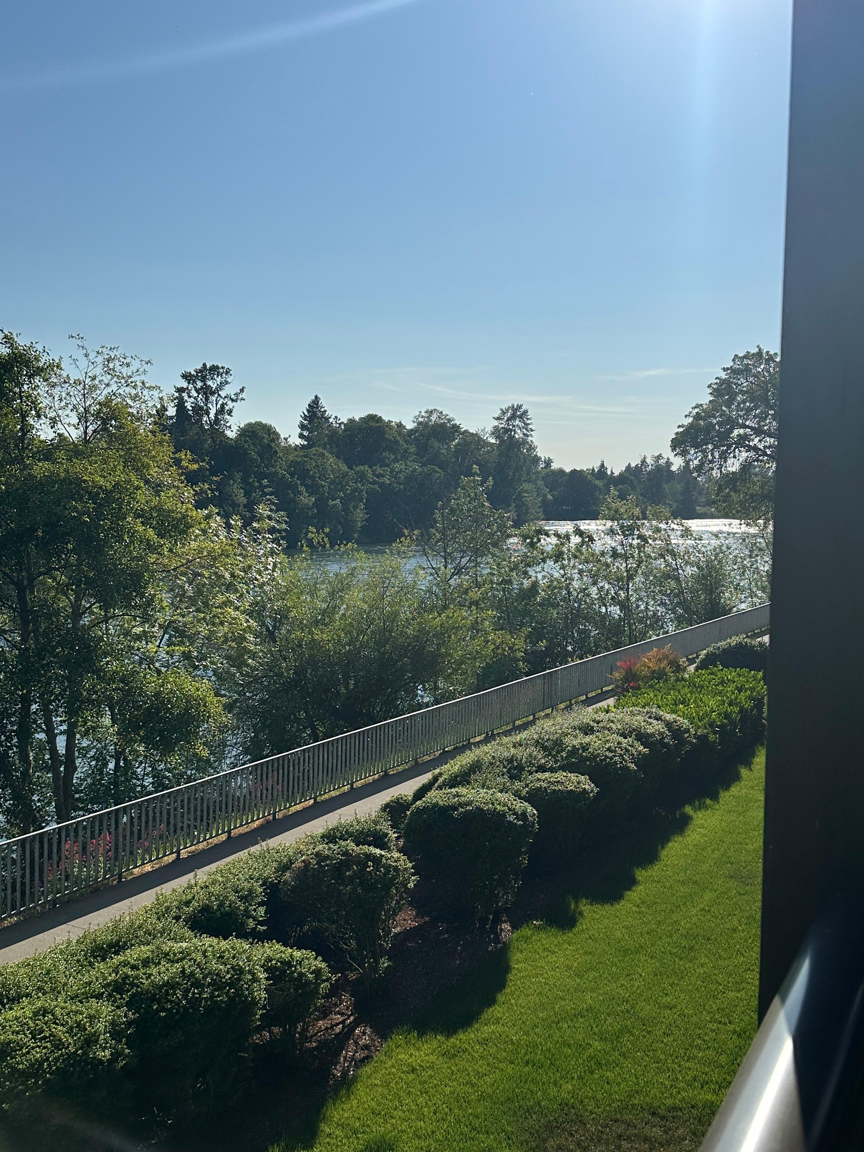 This was such a beautiful view from our rooms. 