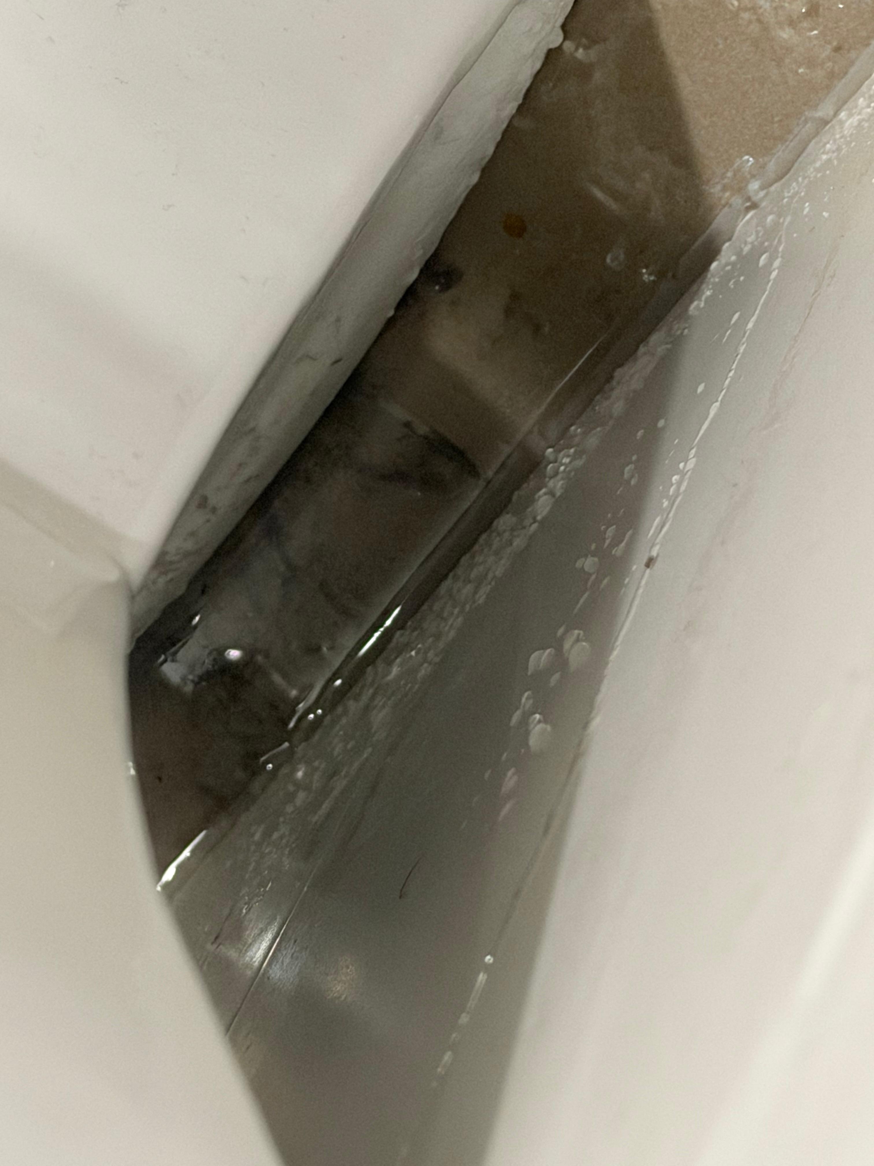 Growth behind the toilet showing it wasn’t new 