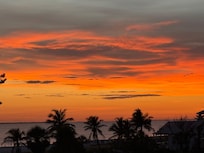 Evening view from the house.