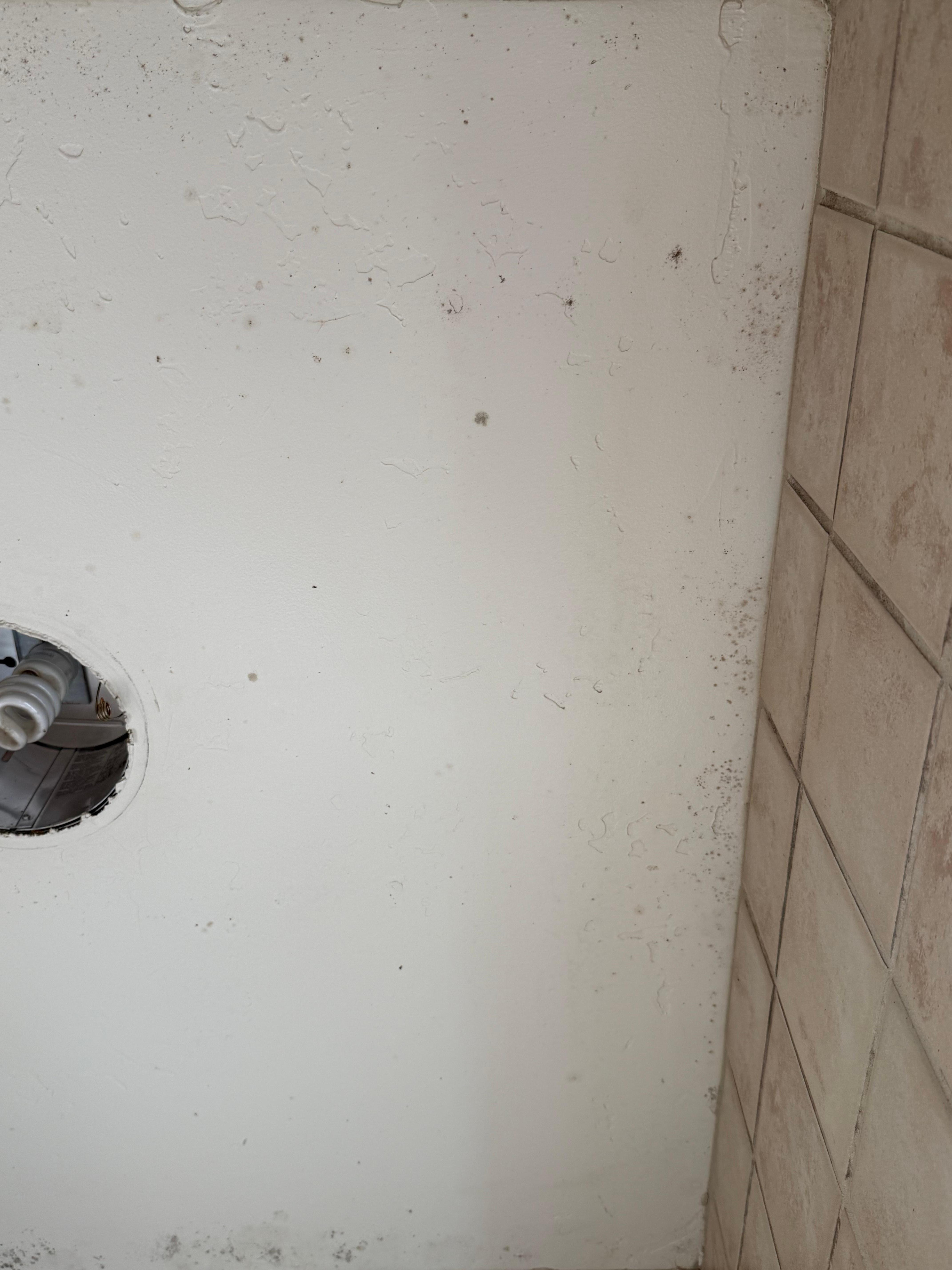 Mold in shower