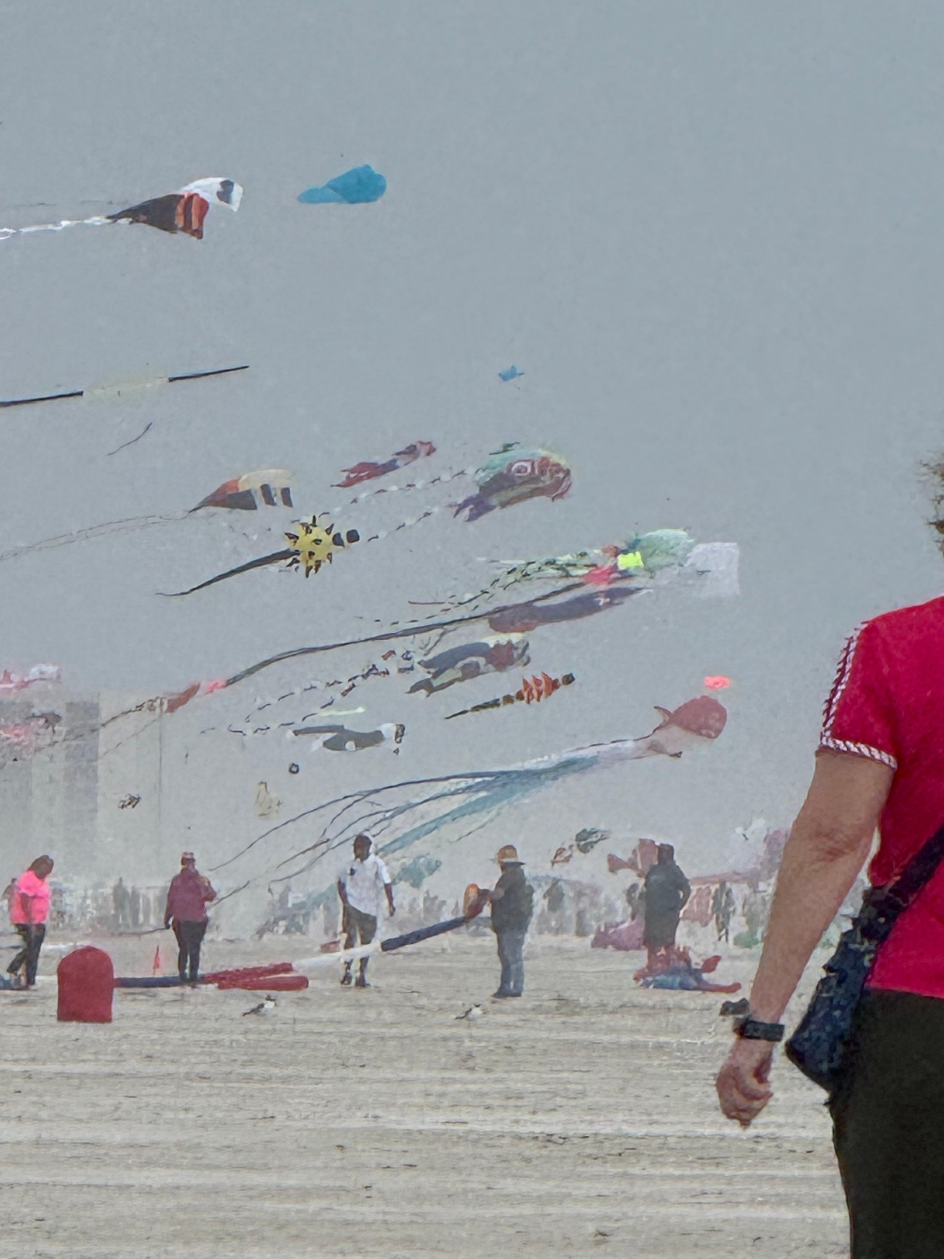 Kite festival