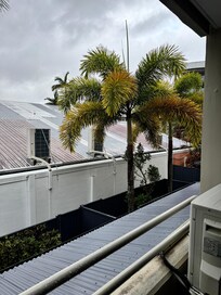 お部屋からの景色