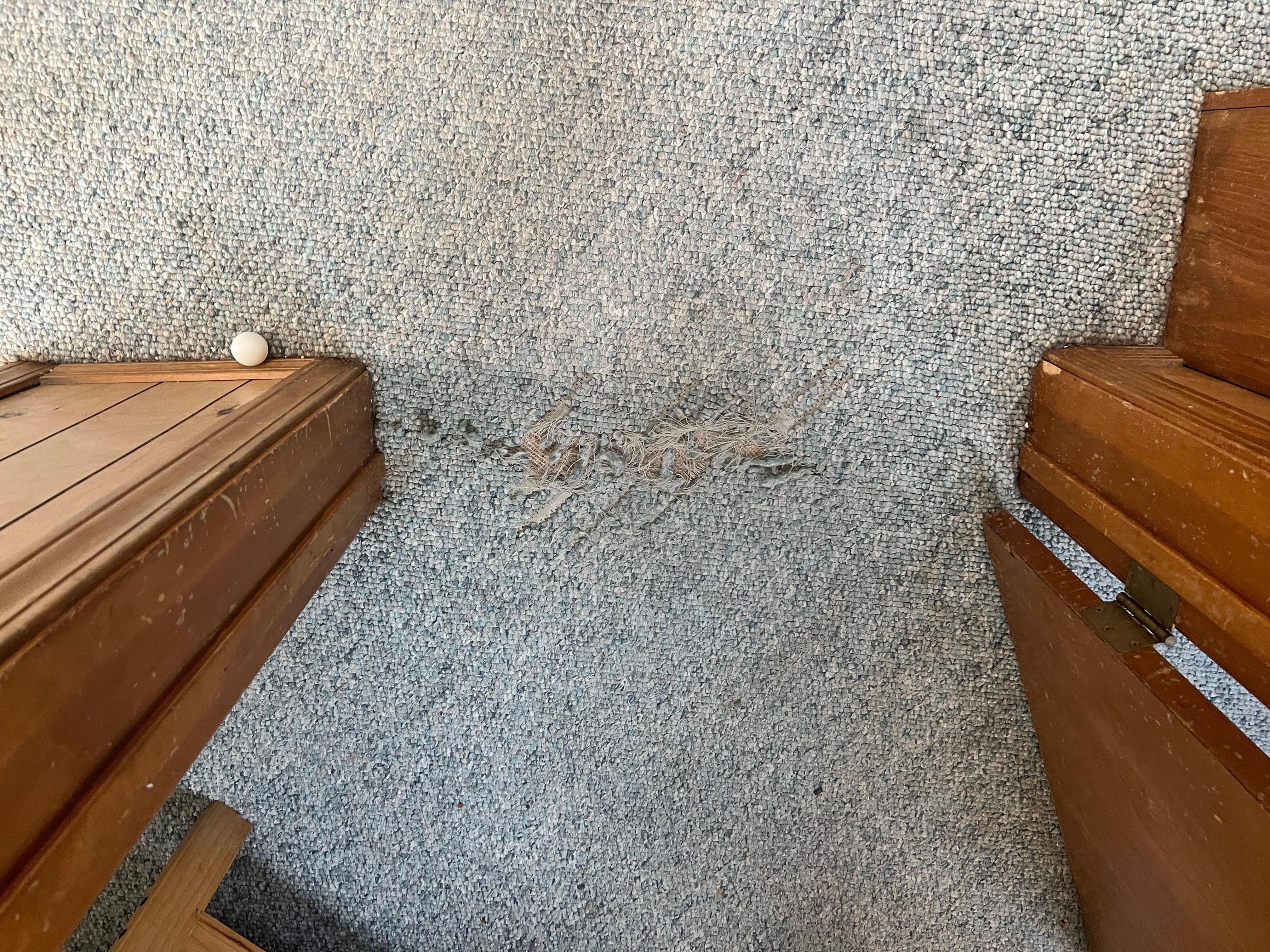 Torn carpet
