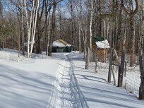 The pathway heading in and the outhouse.