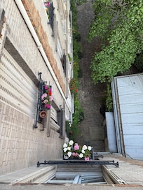 From our window-flowerboxes- all round