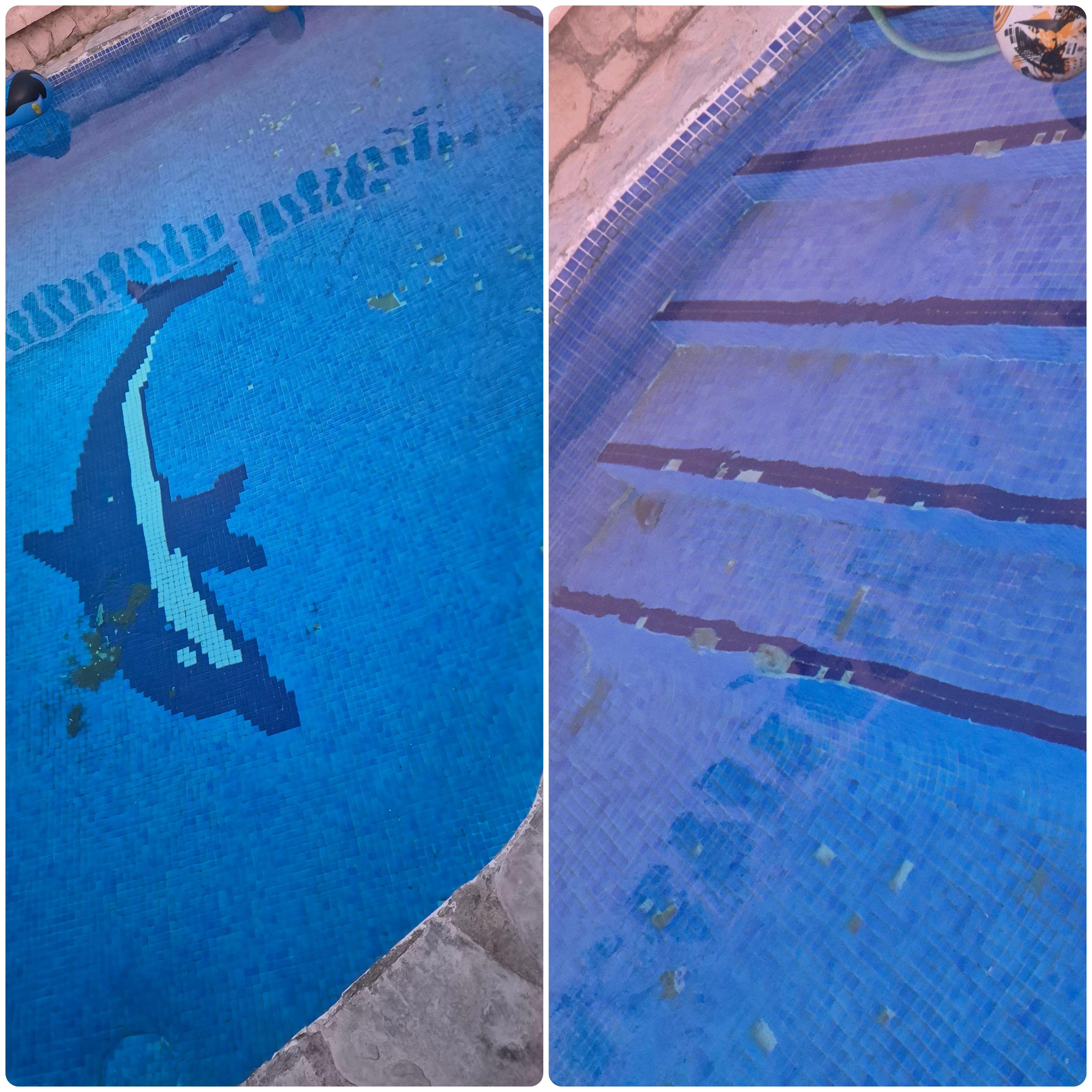 The pool reached the swimmable temperature in 2 days, could be looked after a little bit and cleaned...