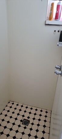 Shower very old and dirty.