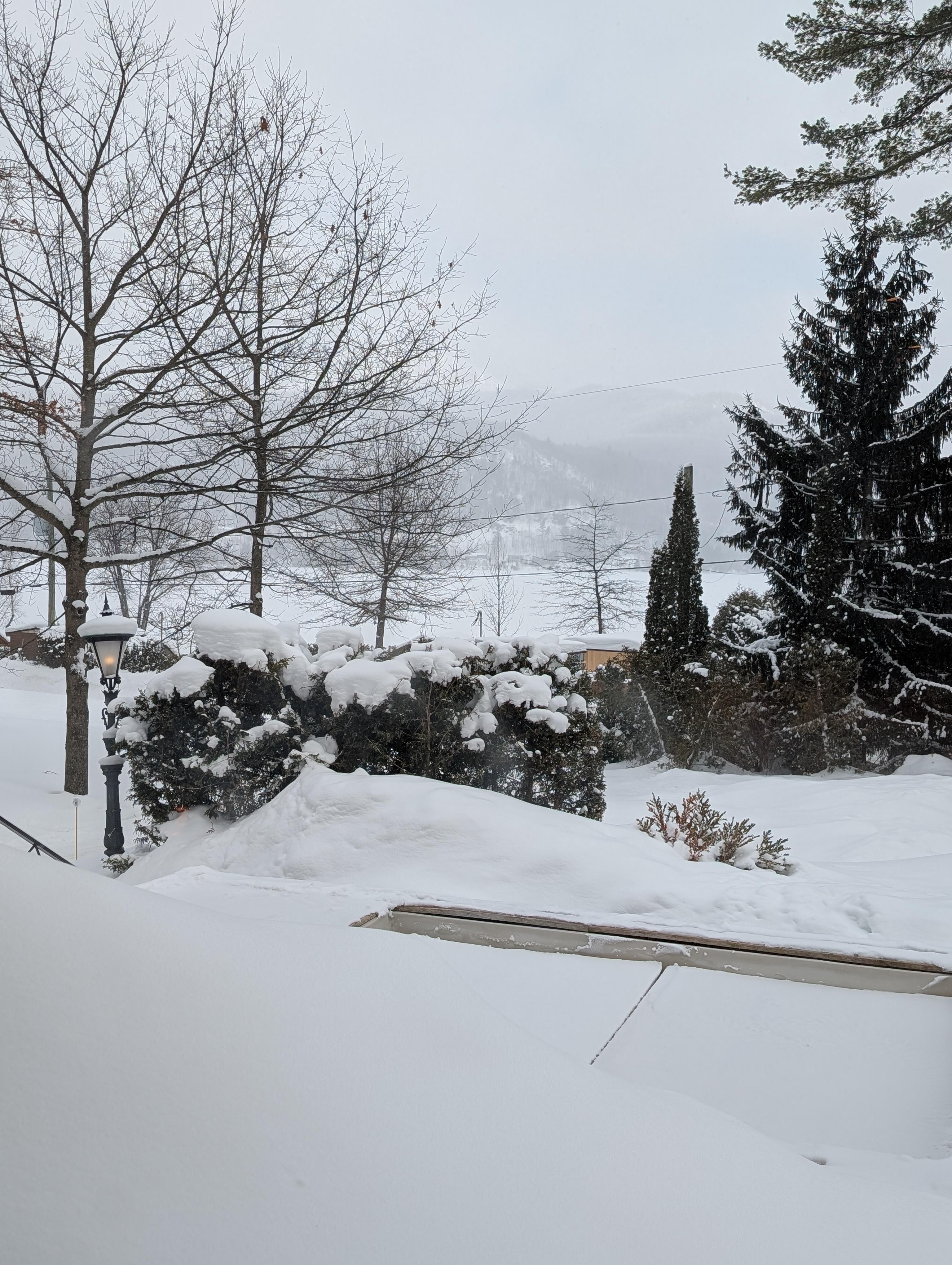 View from great room 