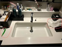 Came back found these not cleaned in toilet.