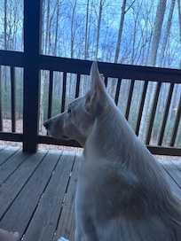 She heard some rustling in the leaves.